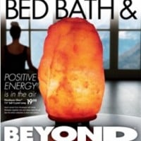 Bed Bath & Beyond March 2016