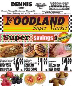 Dennis Foodland Weekly Ad Sale